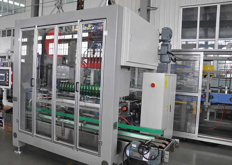 Case Packer Machine 2 Case Packer Machine