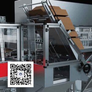 Case Packer for Carton Box 7 Case Packer for Box
