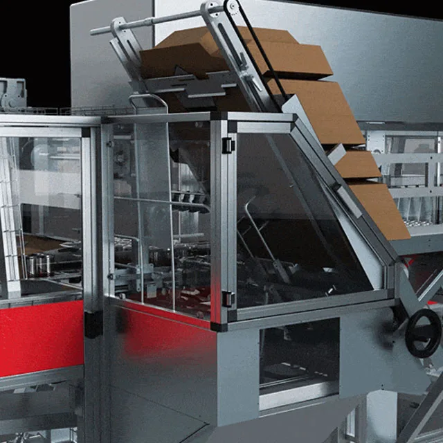 Wrap Around Case Packer