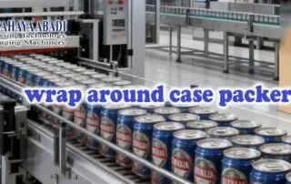 Wrap Around Case Packer