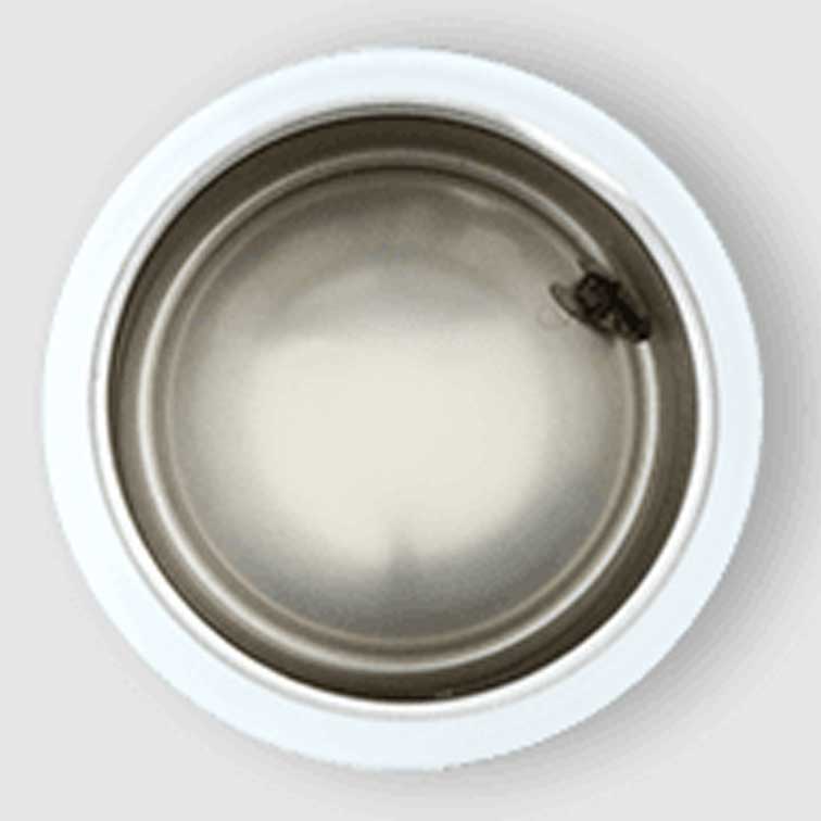 Empty Cans Inspection